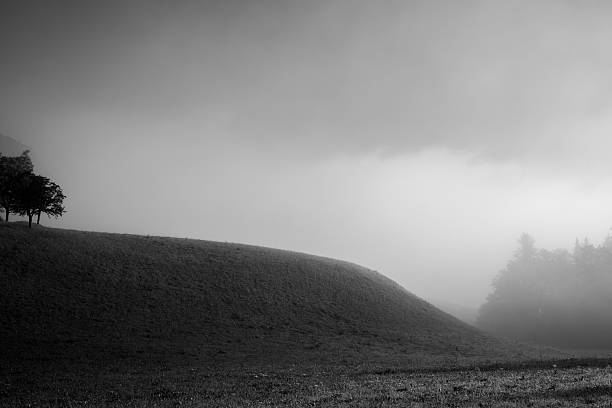 istock Hill with grass, trees and fog in black and white 2206772092