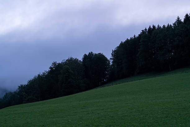 Hill in the mountains with grass, trees and a cloudy sky in the morning