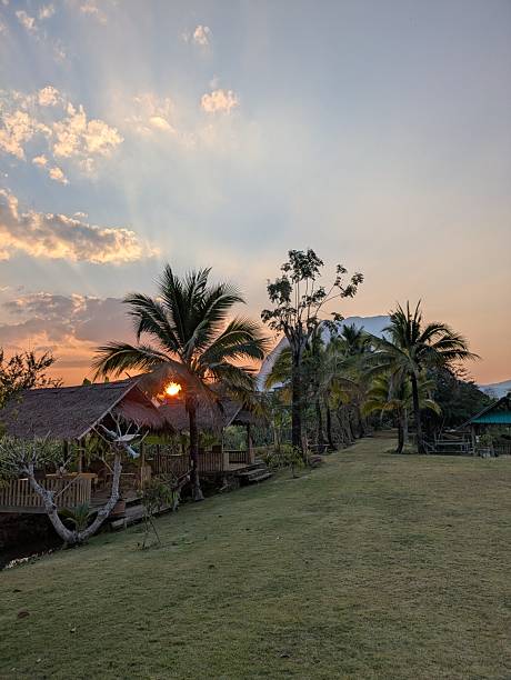 istock Low Sunset with sunbeams shining through the palmtrees overlooking the Chiang Dao Mountain 2206772848