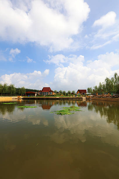 Summer view of the pond in the park