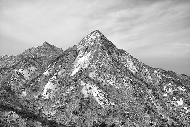 Retro monochrome image of the snow-covered summits of Pilot and Index Peaks in the Shoshone National Forest northwest Wyoming, USA .