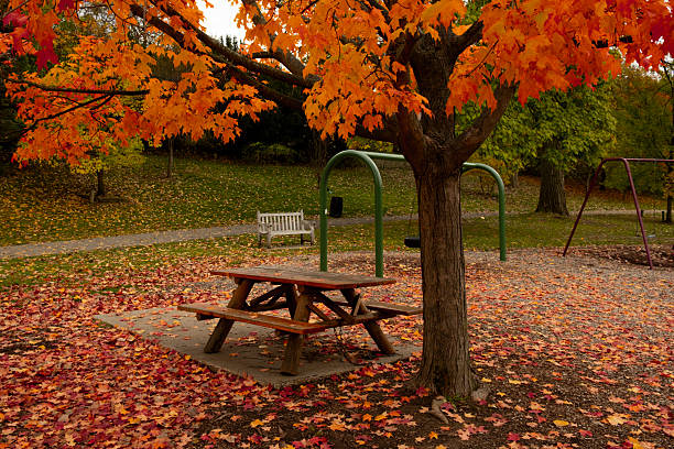 Peaceful Michigan park in autumn featuring a picnic table, playground swings, and vibrant orange fall foliage scattered on the ground.