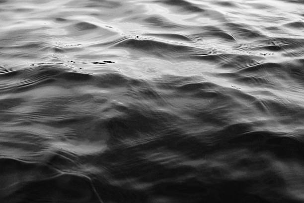 istock The Rhythm of Waves 2206781802