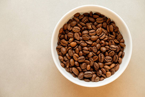 istock Rich brown coffee beans in a pristine white bowl against a soft backdrop 2206787032