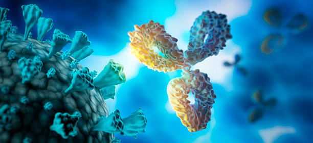 istock Antibodies and virus - 3D Illustration 2206787565