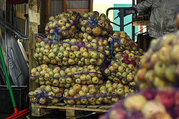 istock Production of cider 2206791371