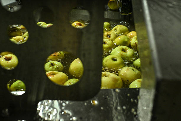 istock Production of cider 2206791816