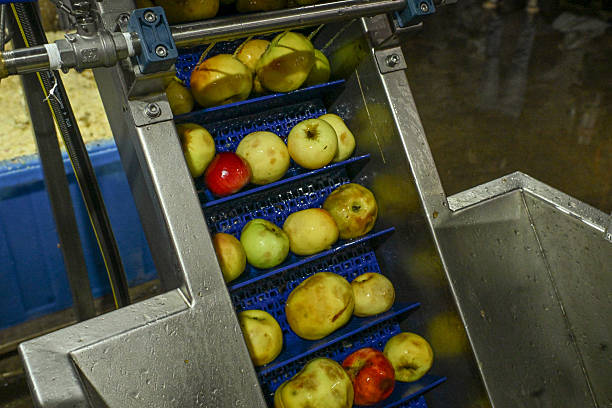 istock Production of cider 2206791855