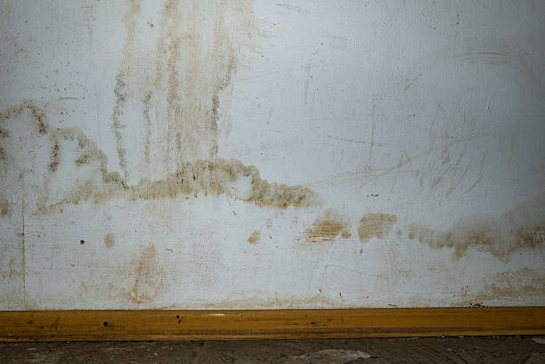 istock Flooding rainwater or floor heating systems, causing damage, peeling paint and mildew. 2206793284