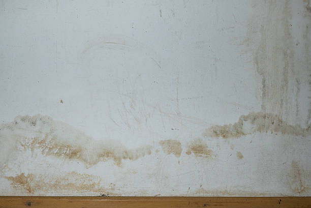 istock Flooding rainwater or floor heating systems, causing damage, peeling paint and mildew. 2206793297