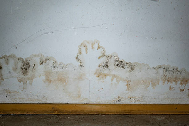 istock Flooding rainwater or floor heating systems, causing damage, peeling paint and mildew. 2206793392