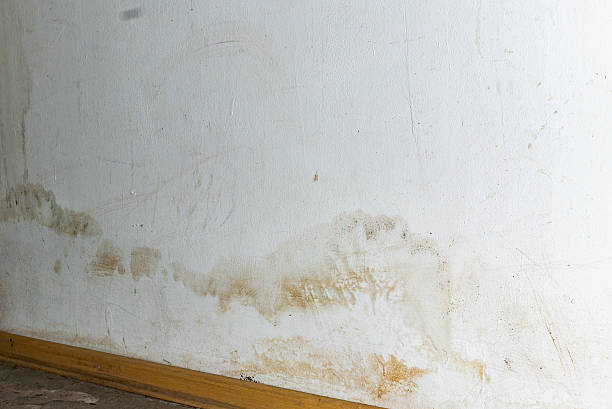 istock Flooding rainwater or floor heating systems, causing damage, peeling paint and mildew. 2206793423