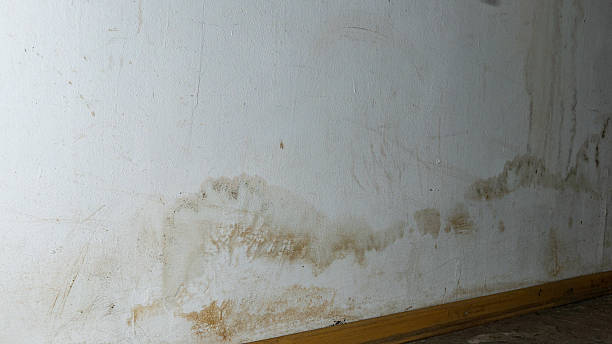 istock Flooding rainwater or floor heating systems, causing damage, peeling paint and mildew. 2206793462