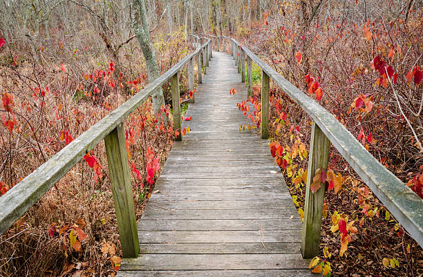 Piscataway Park, Wildlife park in Maryland