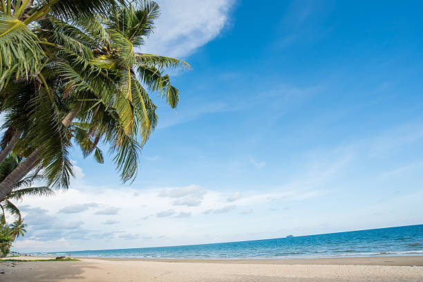 istock Beautiful nature sea summer background,Sand beach 2206804532