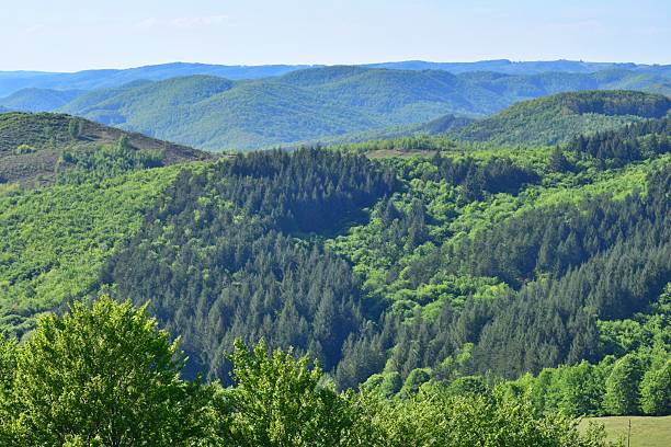 istock Spring landscape with hills, forest and green slopes in the Carpathian mountains. Panoramic view of picturesque valley 2206805120