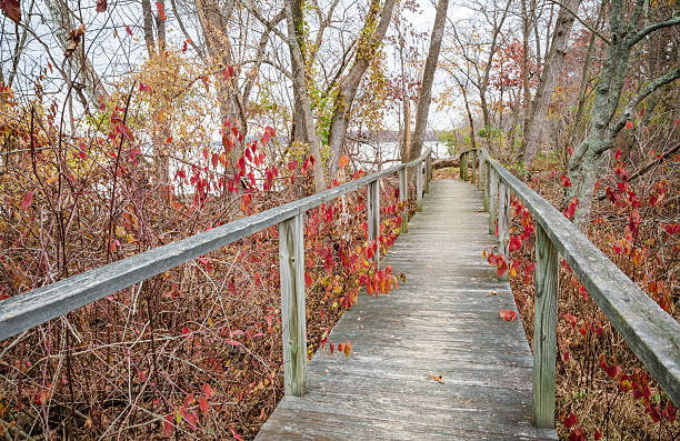 istock The Boardwalk at Piscataway Park 2206805538
