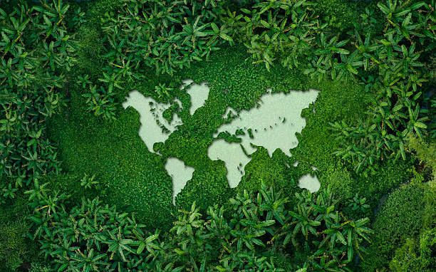 istock World Environment concept,Aerial view of world map on grass in rainforest. 2206806447