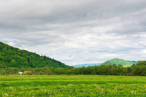 istock field near the forested hill 2206806719