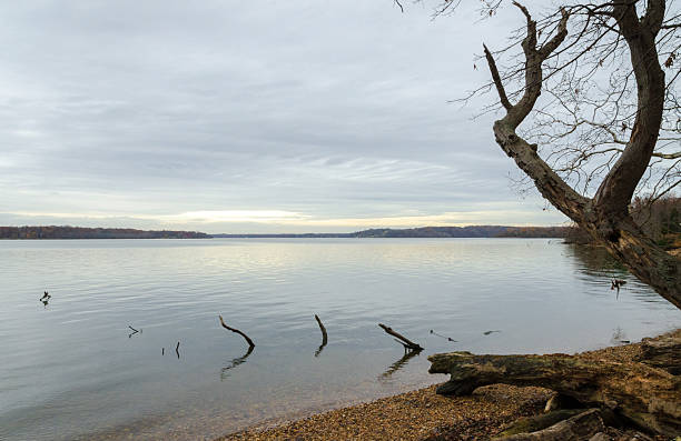istock The Wetlands at Piscataway Park 2206806732