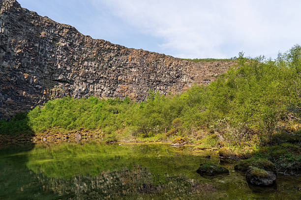 istock The Asbyrgi Canyon in north Iceland 2206810209