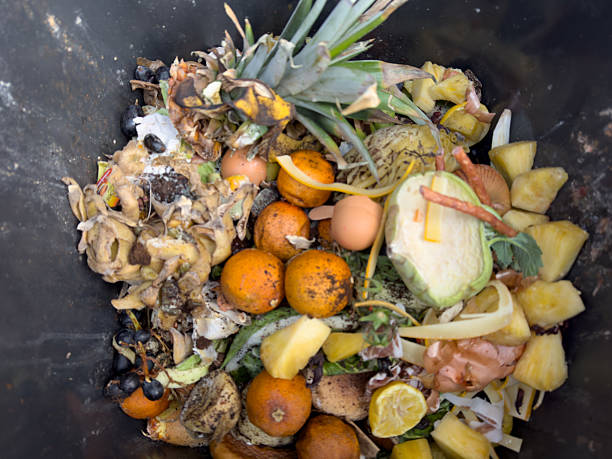 istock Organic waste composting in the garden 2206810670