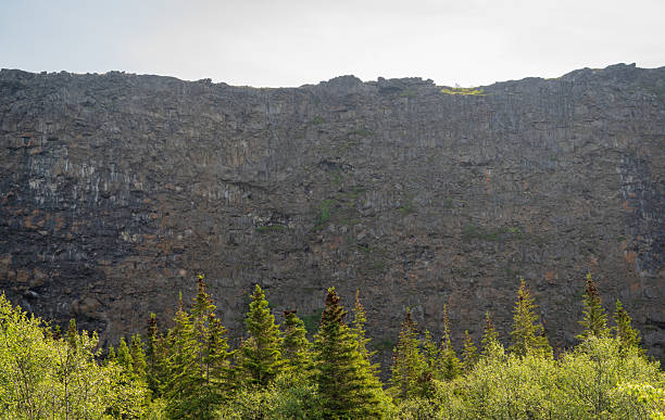 istock The Asbyrgi Canyon in north Iceland 2206811637