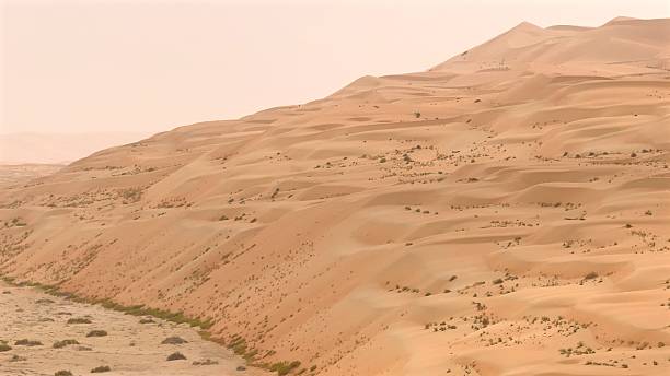 Sun-drenched desert sand hills with hot sun high in sky. Rolling dunes create mesmerizing pattern, highlighting intense heat and isolation of desert. Suitable for themes of extreme climates.