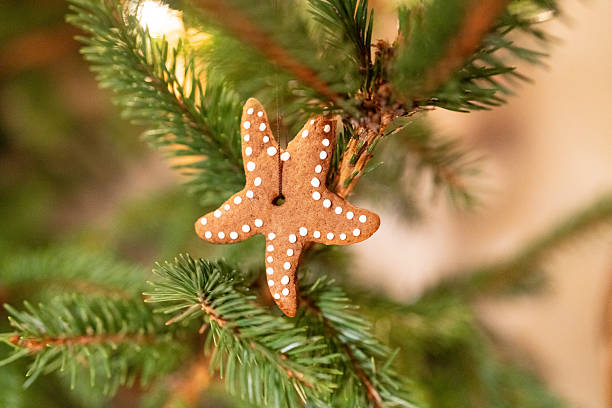 istock A star-shaped gingerbread hangs on the Christmas tree. 2206812970