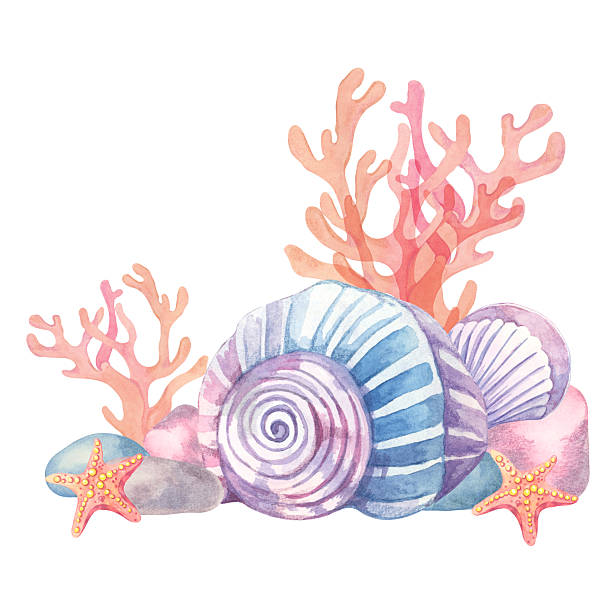 istock Colorful seashells, starfish, coral branches, and rocks painted in watercolor. This illustration is perfect for beach-themed products 2206814473
