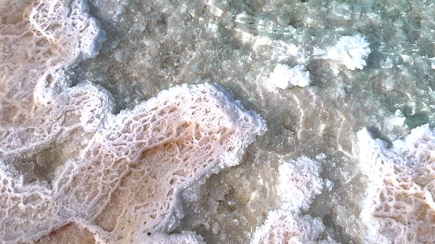 istock Salt formations reflect natures delicate dance with water. Mineral-rich waters leave behind stunning visuals, creating unique and textured environments along coast. Salt and water work 2206816295