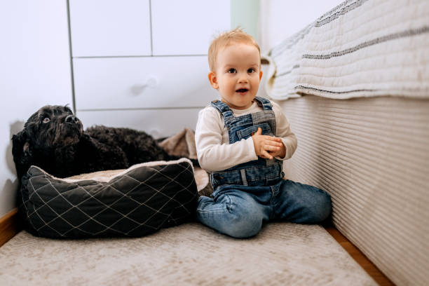 istock Baby boy bonding with dog while sitting on a floor at home 2206817009