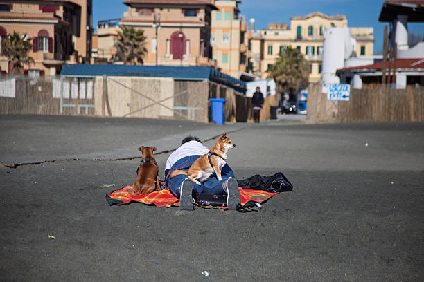 Two small dogs sit attentively on their owner's back as she lies face down on the sandy beach in Ostia Lido, Italy. The image captures a candid moment of relaxation and companionship by the sea, highlighting the bond between humans and their pets. The bright sunlight and clear sky emphasize the serene coastal atmosphere.