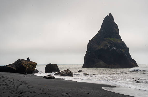istock Black Sand Beach Reynisfjara in Iceland 2206823364