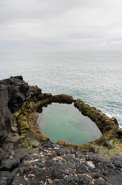 istock Brimketill lava rock pool in Iceland 2206823788