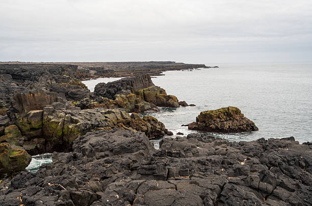 The Brimketill lava rock pool in Iceland