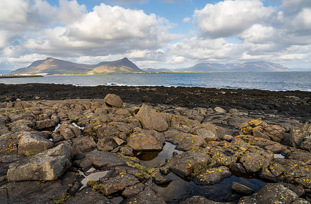 istock Old Akranes Lighthouse in Iceland 2206823990