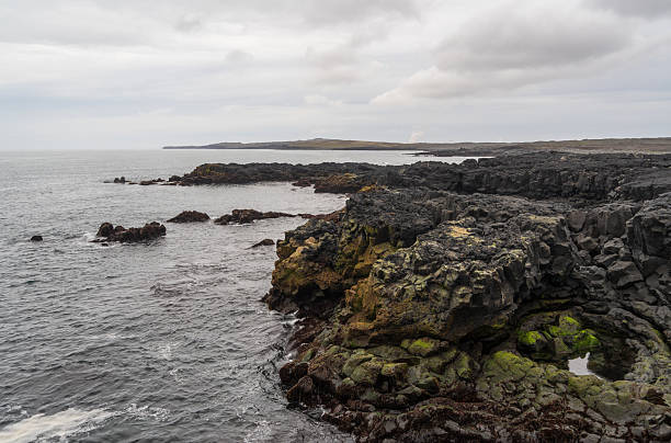 The Brimketill lava rock pool in Iceland