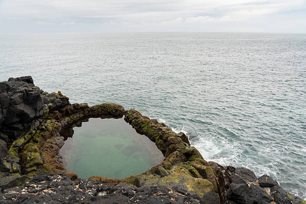 istock Brimketill lava rock pool in Iceland 2206825198