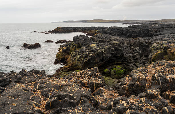 istock Brimketill lava rock pool in Iceland 2206826514