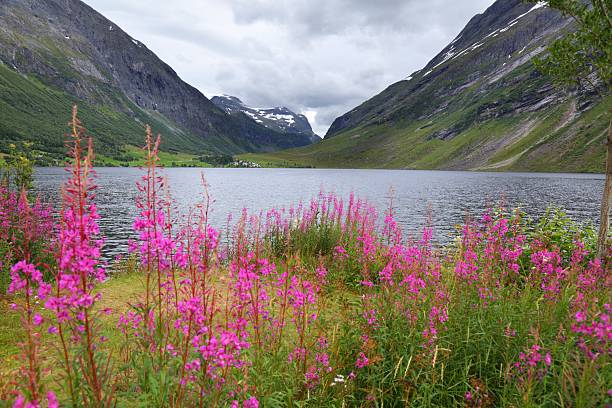 istock Landscape near Geiranger, Norway 2206828271