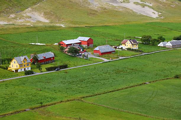 istock Summer agriculture land in Sunnmore, Norway 2206828998