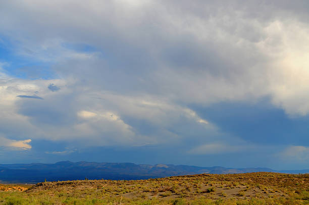 istock Landscape Sonora Desert Arizona 2206831522