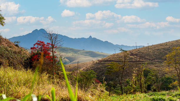 istock landscape in the morning 2206837313