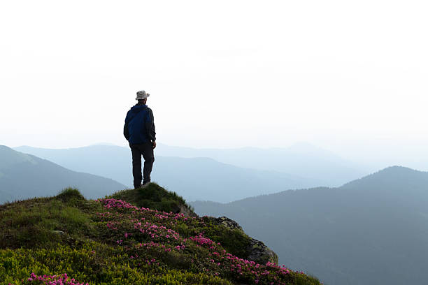 istock Majestic mountain scenery with a lone traveler 2206843184
