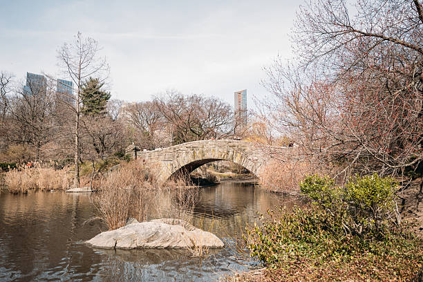 Stone arch bridge over calm river, surrounded by bare trees and bushes in early spring. Tranquil park scene in urban setting. Nature blending with cityscape.