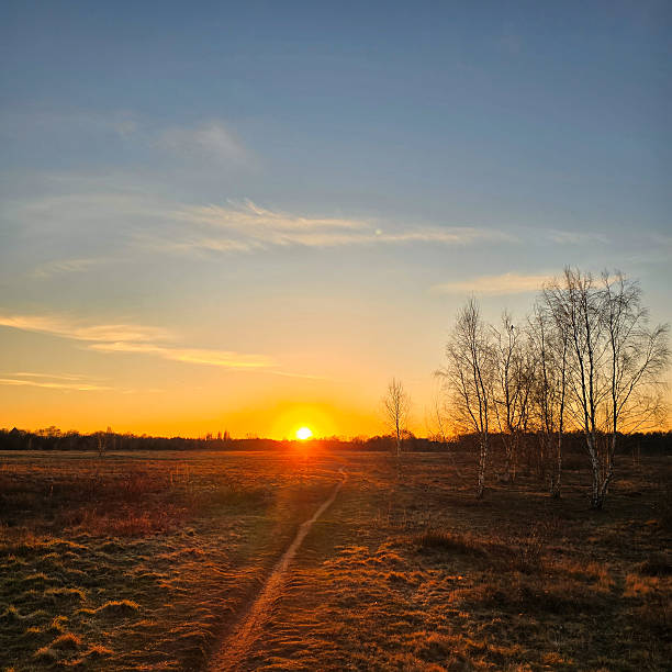 istock A Serene Sunset Casting Its Glow Over a Tranquil Landscape Adorned with Birch Trees Hannover Langenhagen 2206850301
