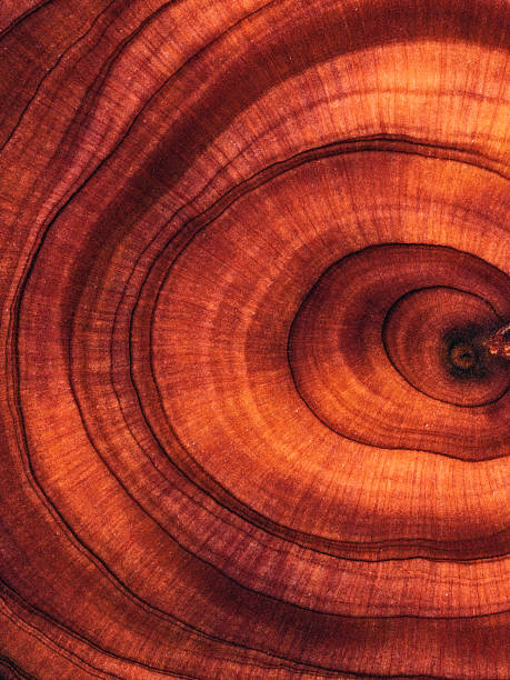 istock Full frame shot of wooden floor 2206850470