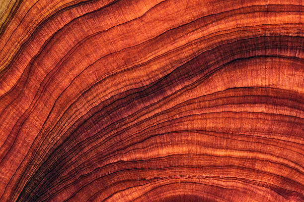 istock Full frame shot of wooden floor 2206850474