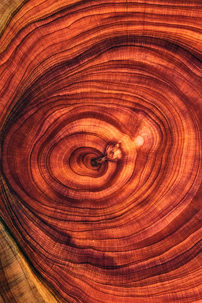 istock Full frame shot of wooden floor 2206850481